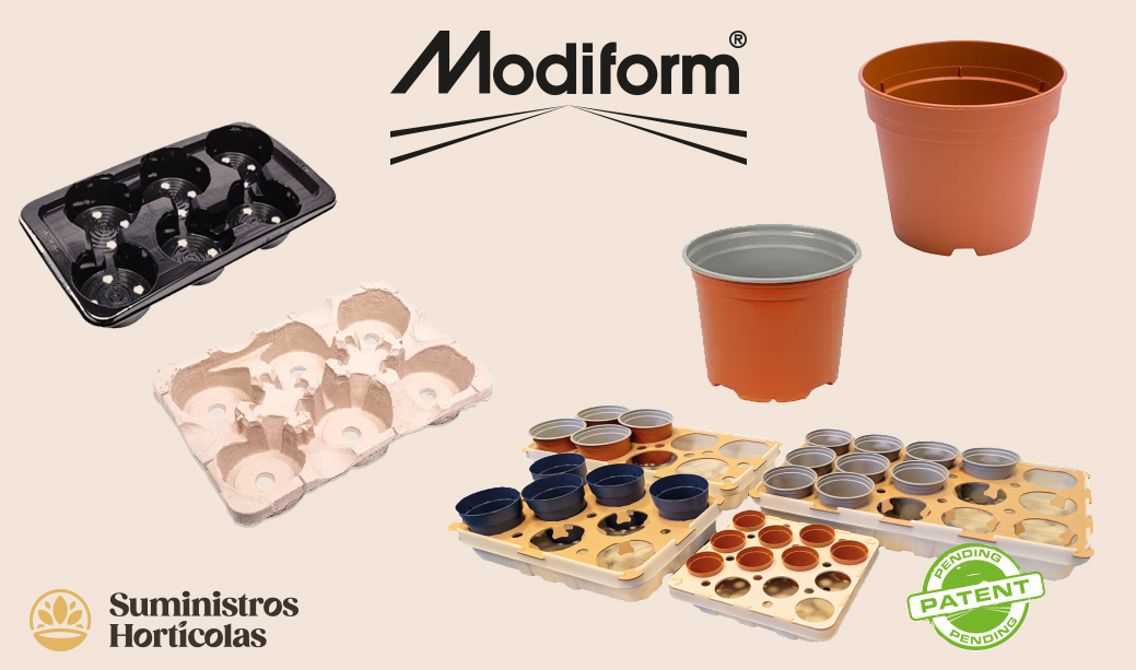 Modiform